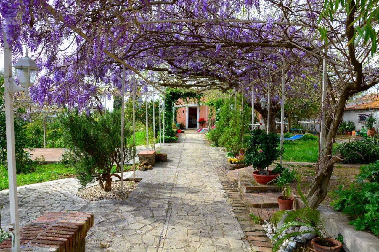 הוילה ג'נצאנו די רומא Casale Del Gelso מראה חיצוני תמונה