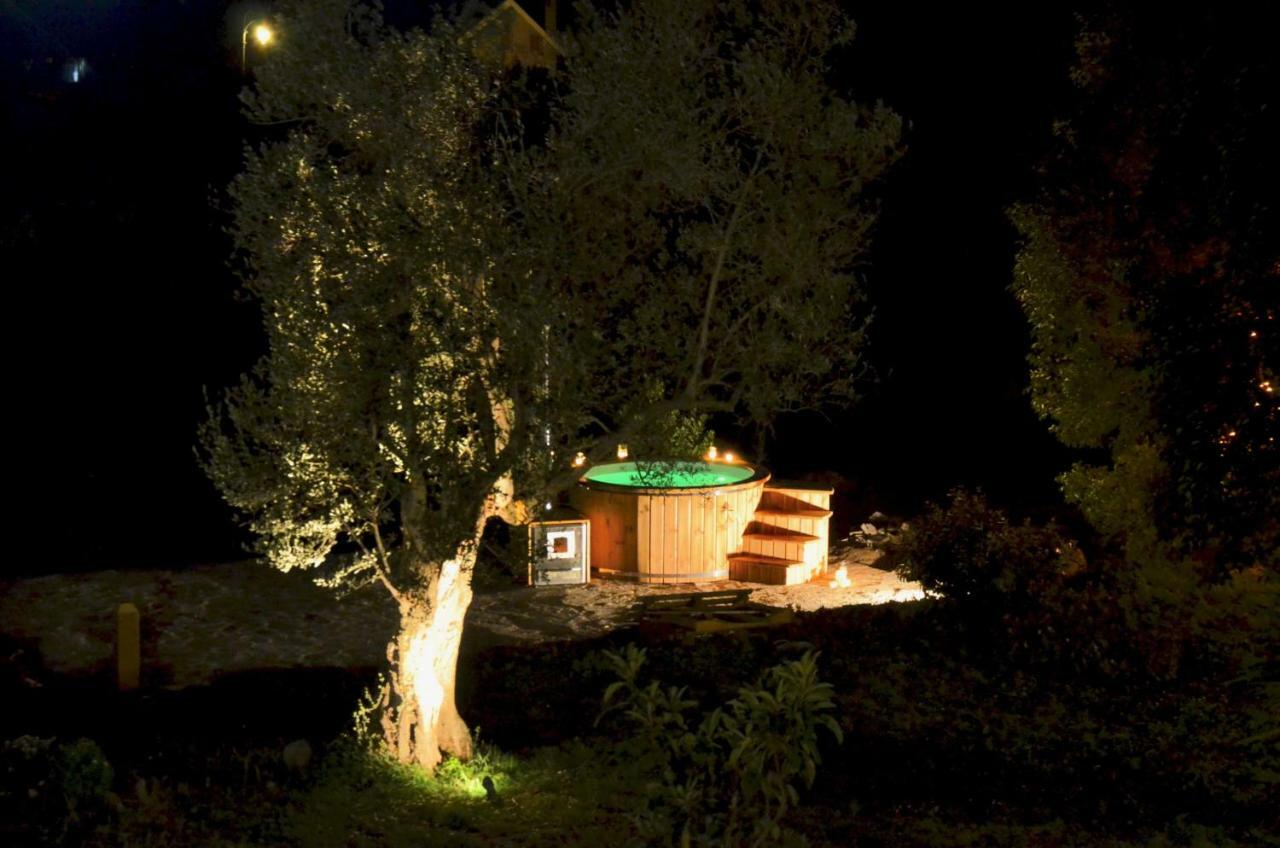 הוילה ג'נצאנו די רומא Casale Del Gelso מראה חיצוני תמונה