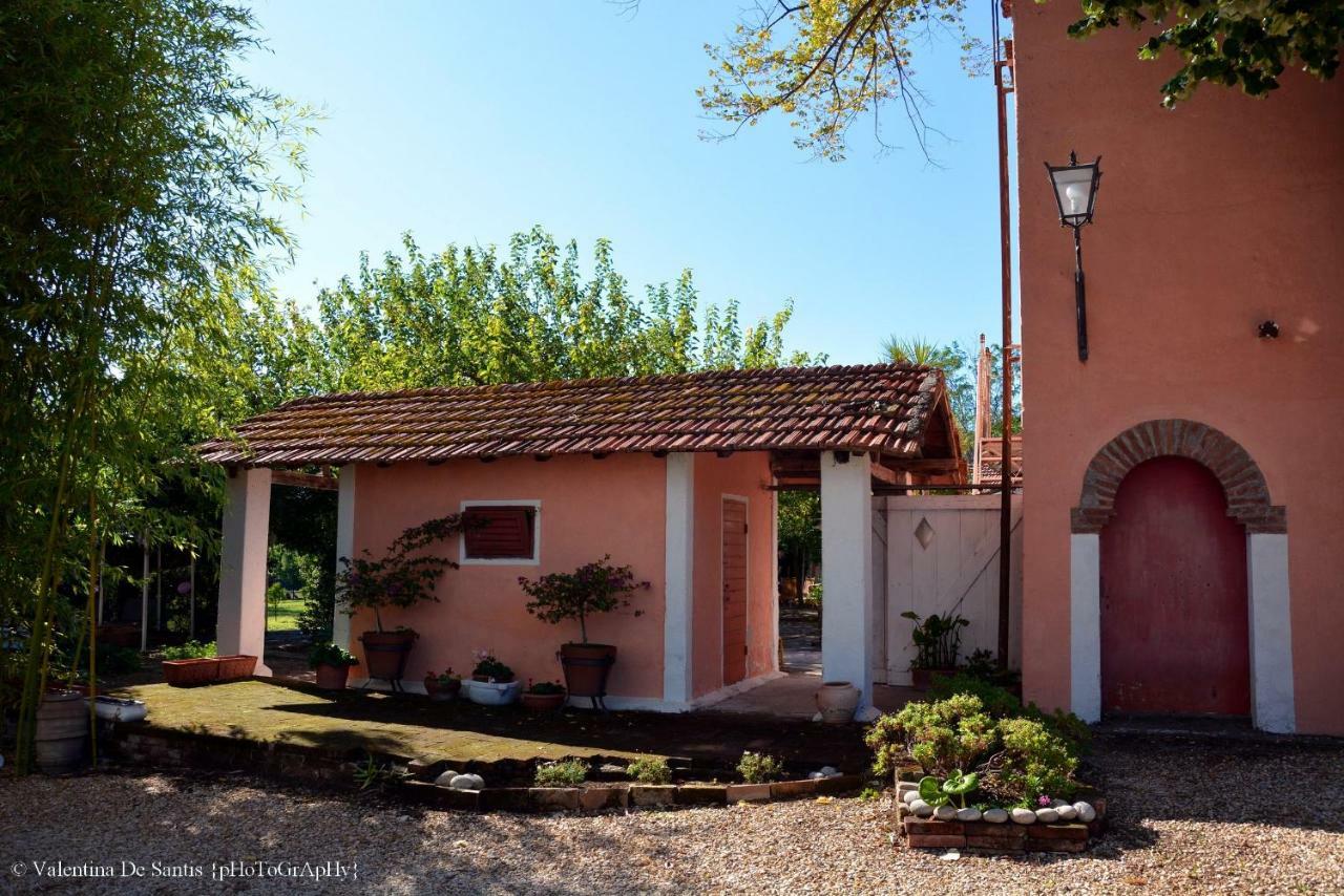 הוילה ג'נצאנו די רומא Casale Del Gelso מראה חיצוני תמונה